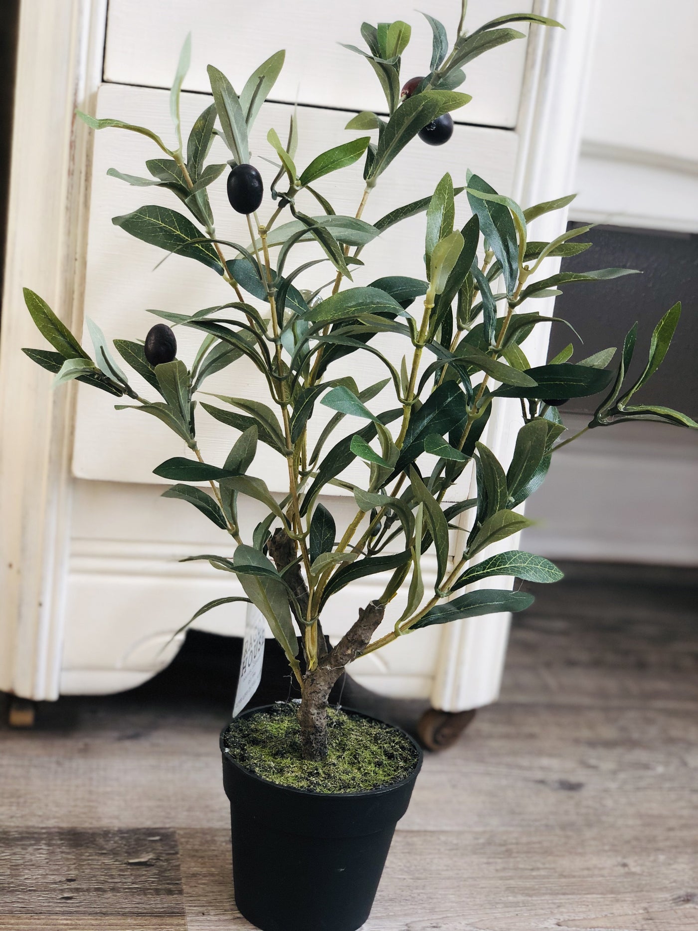 Farmhouse Olive Plant (19")-Ruby & Pearl Boutique