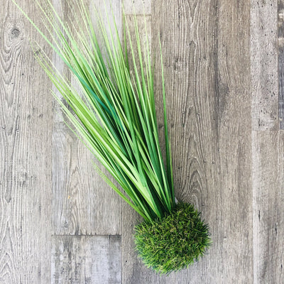 Onion Grass In Grass Base-Ruby & Pearl Boutique